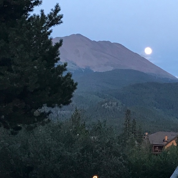 Meet your Posher, Madeline - Picture 1 of 1